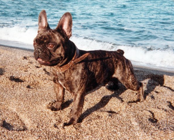 Hector à 2 ans