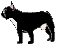 (Fau. Bri. PBl.Lim.)