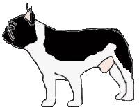 (Fau. Bri. PBl.Moy.)