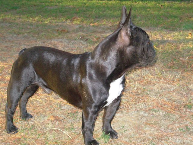 Deeper dit Darkos à 18 mois